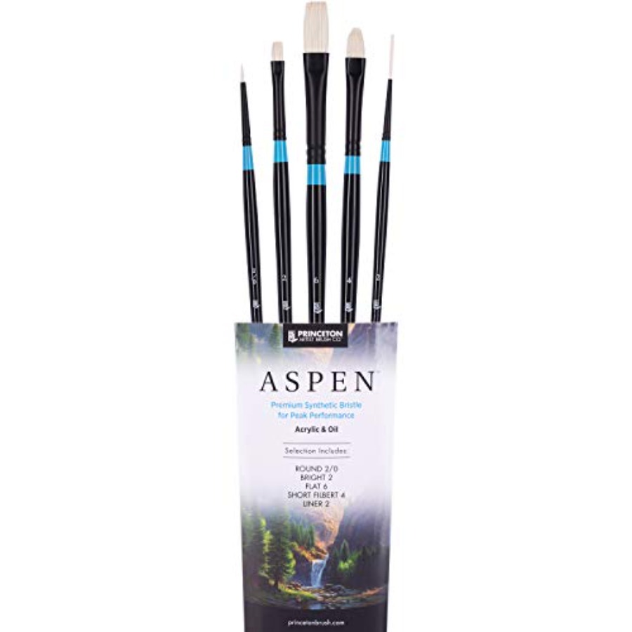 Gouache Paint Set - Aspen 6500 Series 5pc Professional Paint