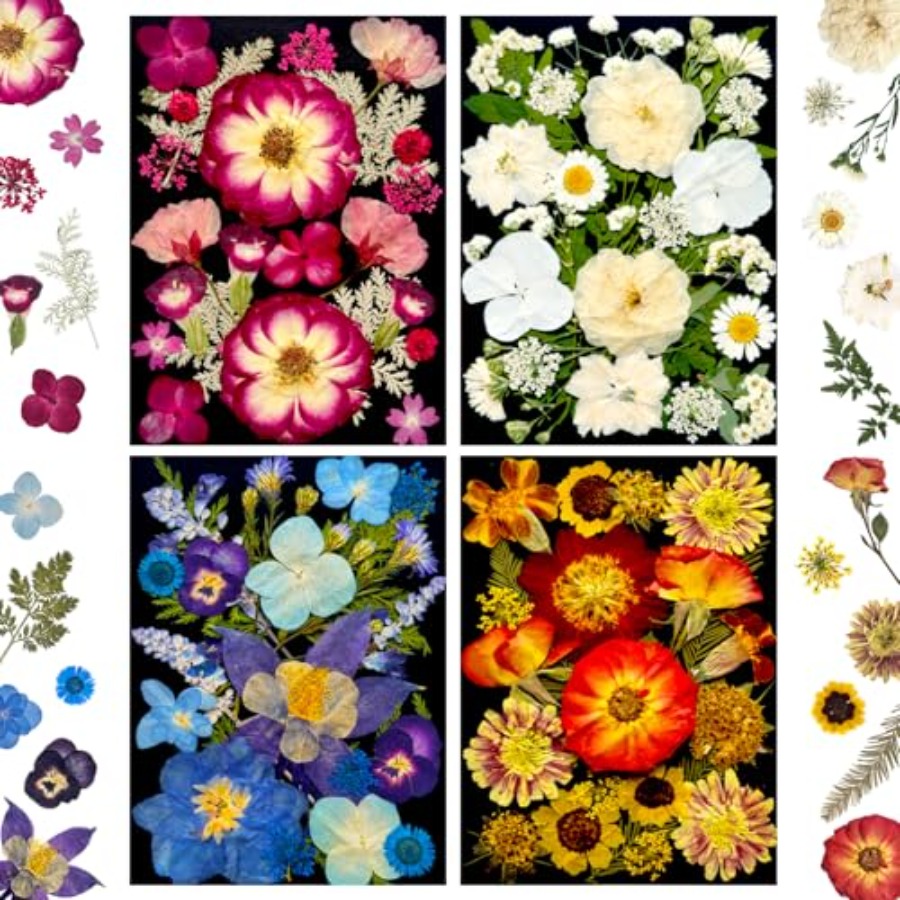 Pressed Dried Flowers for Resi - The Art And Craft Of Jewelry review and price
