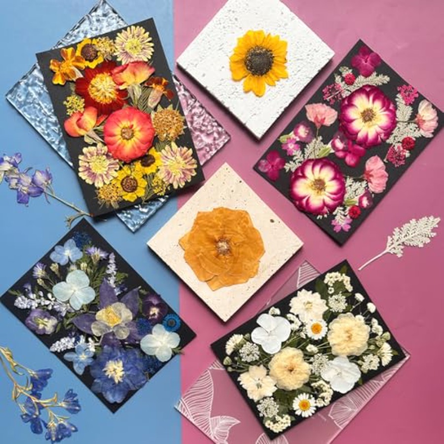 Pressed Dried Flowers for Resi - The Art And Craft Of Jewelry review and price