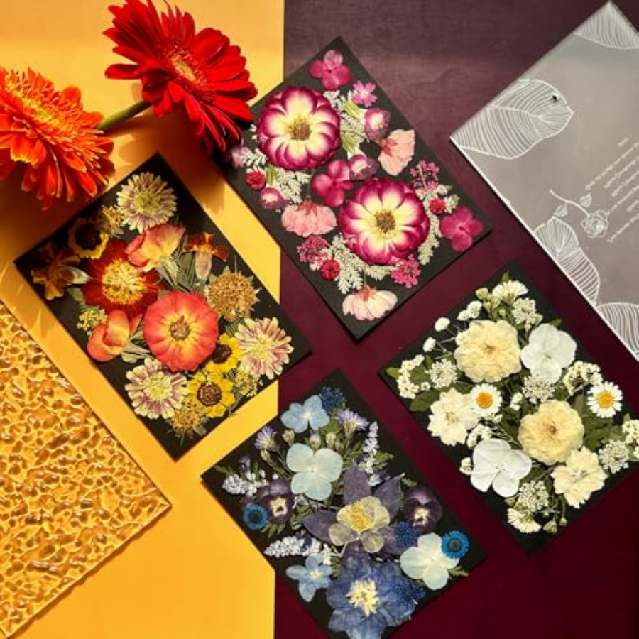 Pressed Dried Flowers for Resi - The Art And Craft Of Jewelry review and price