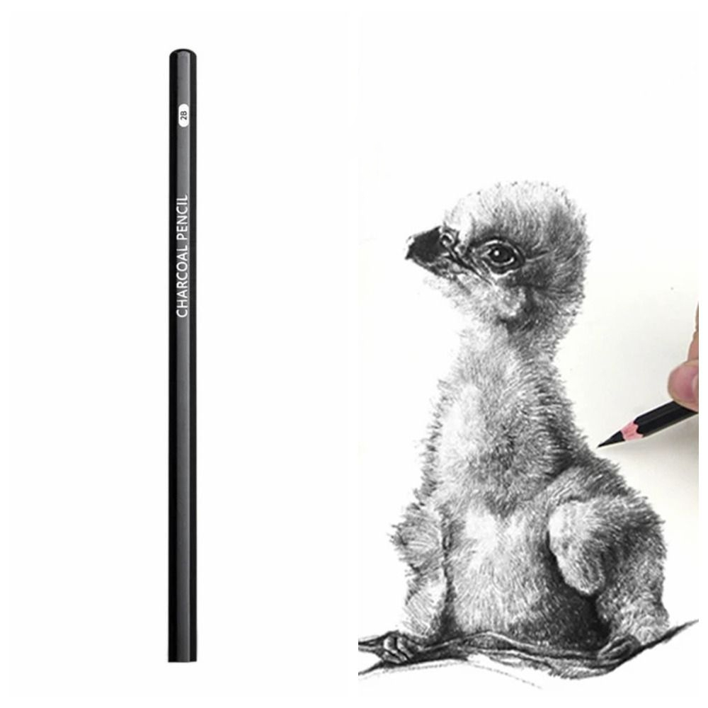 Graphite Mixed Sketching Penci - Sketching Charcoal Set review and price