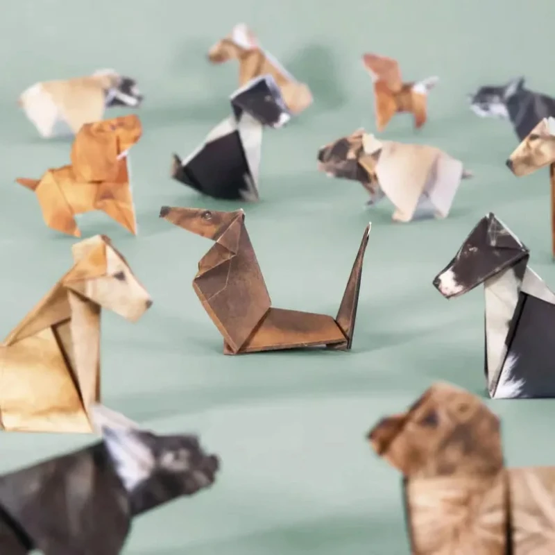 Creative DIY Origami Paper Set - Art Craft Dinosaurs review and price