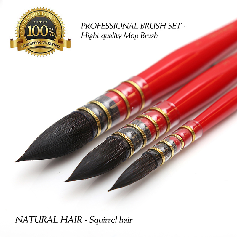 Dainayw 3 Brushes Round Squirr - Gouache Paint Set review and price