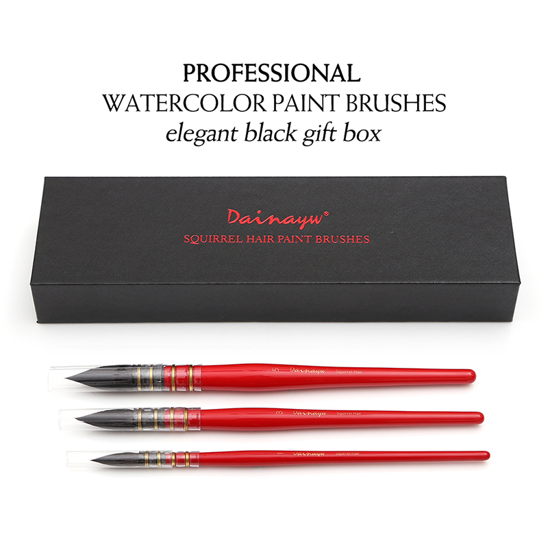 Dainayw 3 Brushes Round Squirr - Gouache Paint Set review and price