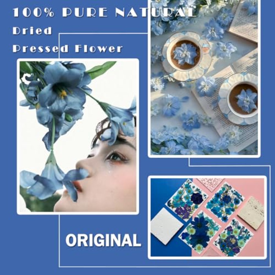 94Pcs Dried Pressed Flowers fo - The Art And Craft Of Jewelry review and price