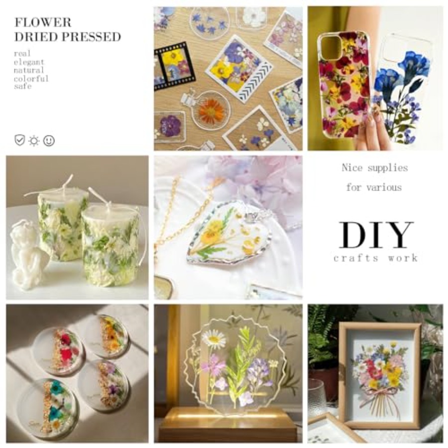 94Pcs Dried Pressed Flowers fo - The Art And Craft Of Jewelry review and price