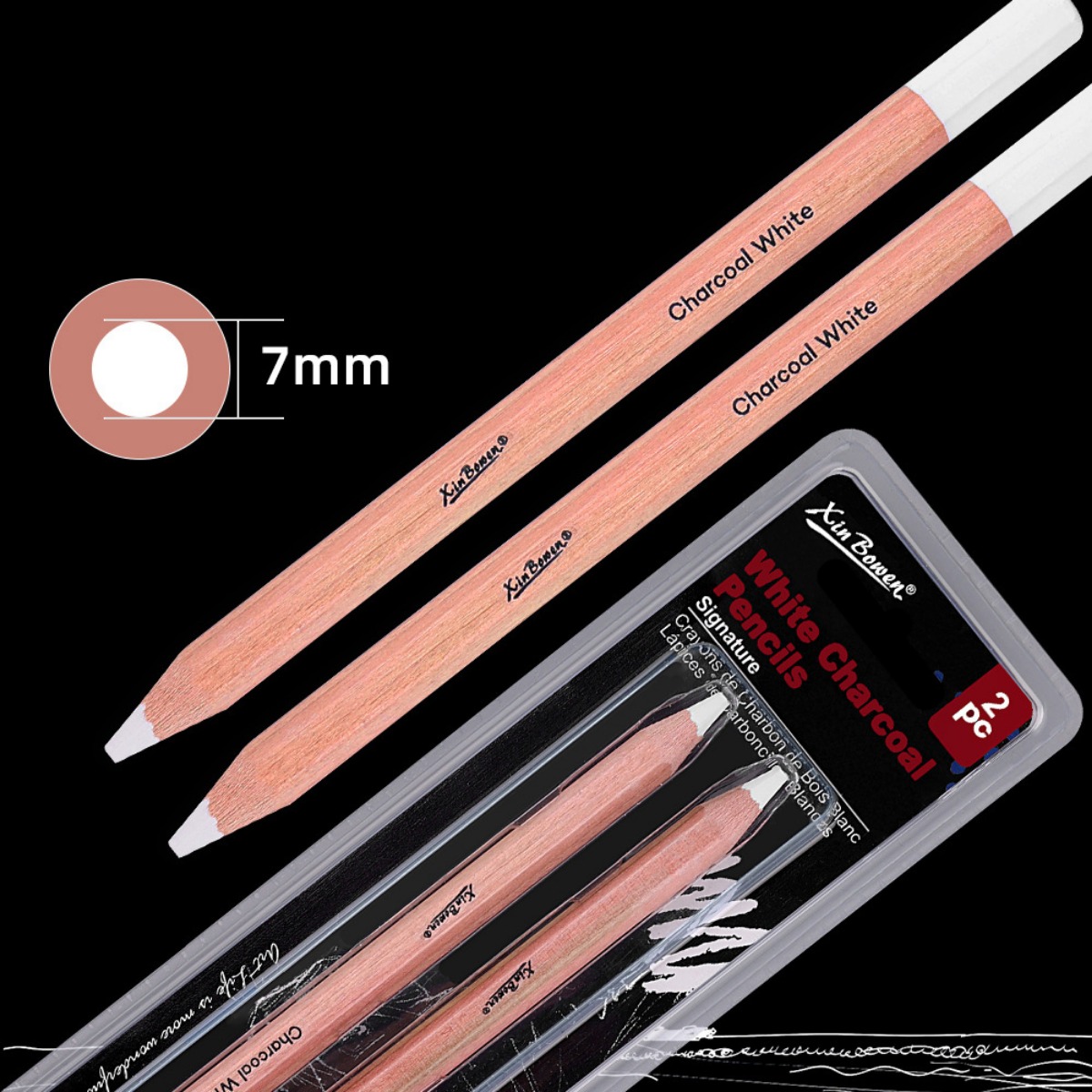 2Pcs/set Thicked Sketching Whi - Sketching Charcoal Set review and price