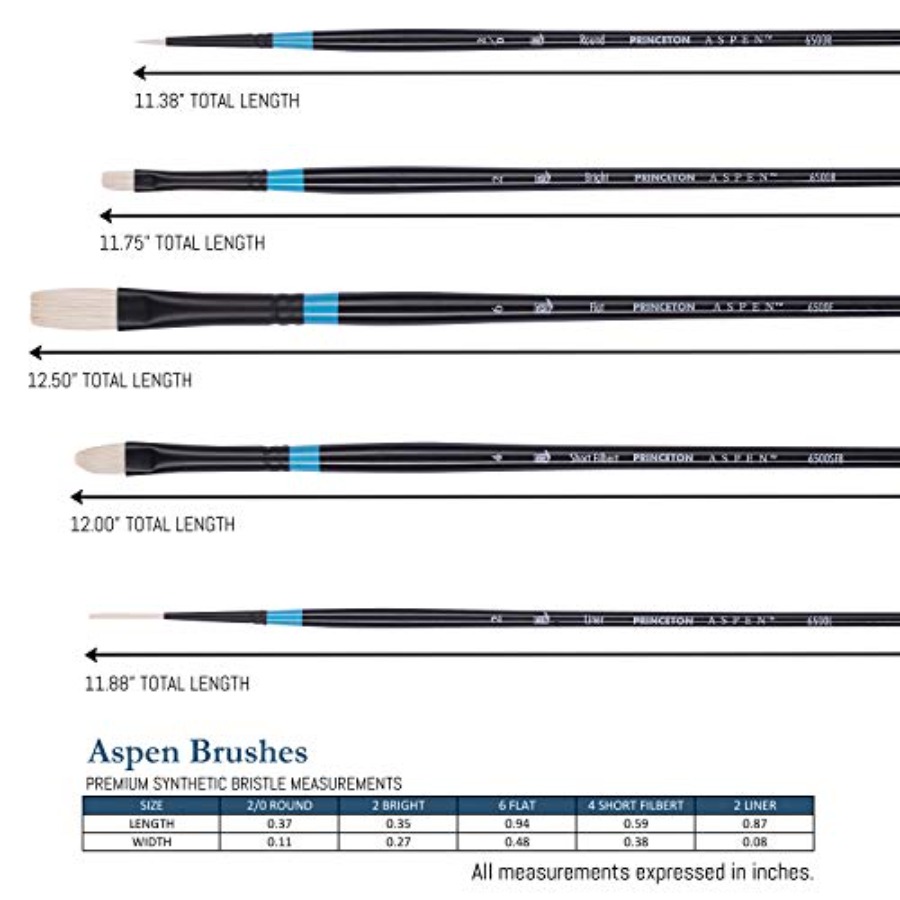 Aspen 6500 Series 5pc Professi - Gouache Paint Set review and price