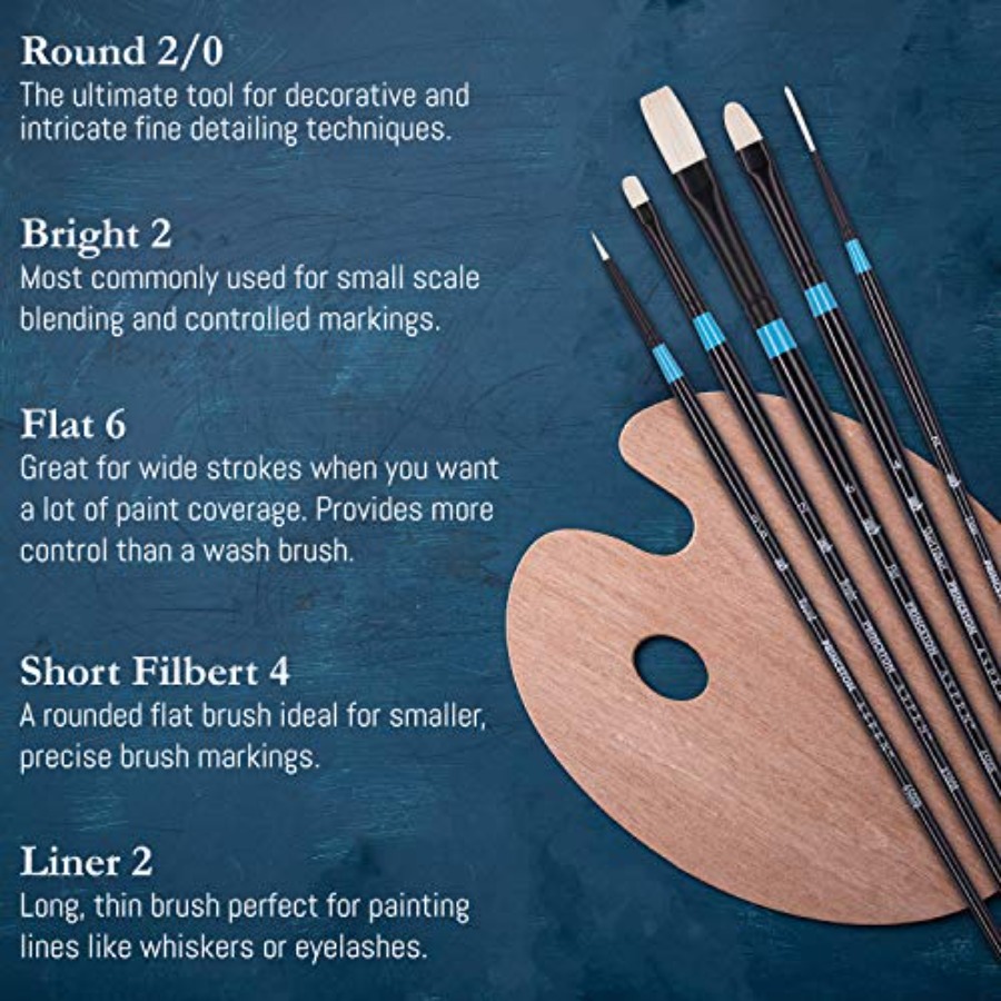 Aspen 6500 Series 5pc Professi - Gouache Paint Set review and price