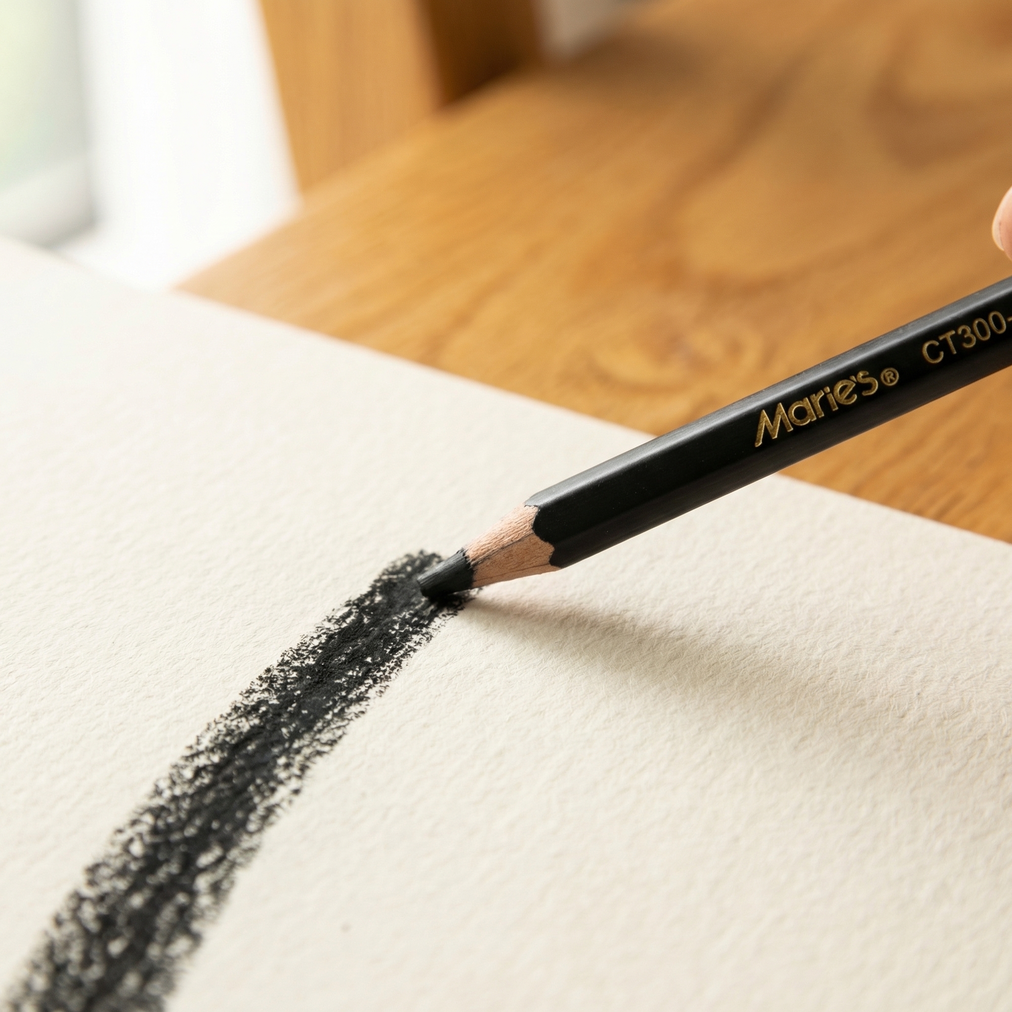 Marie's 12pcs Charcoal Pencils - Sketching Charcoal Set review and price