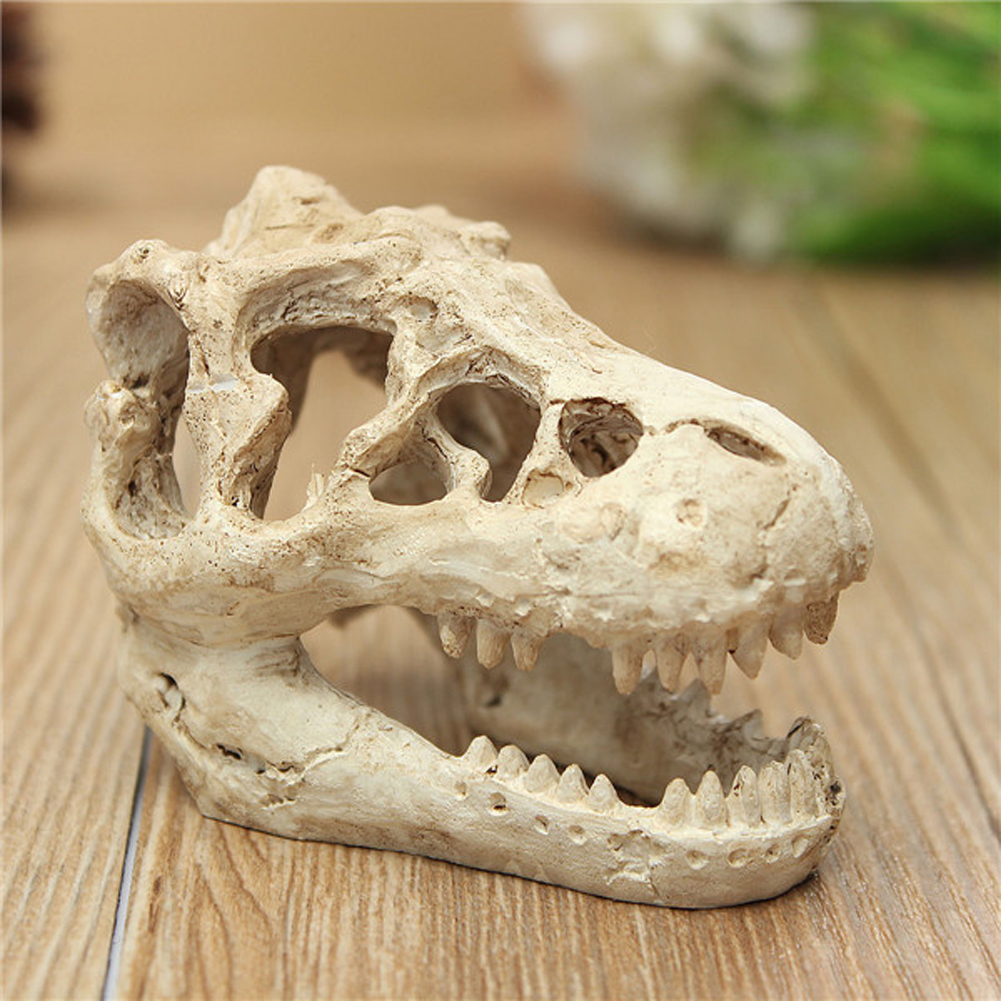Resin Dinosaur Stone Statue De - Art Craft Dinosaurs review and price