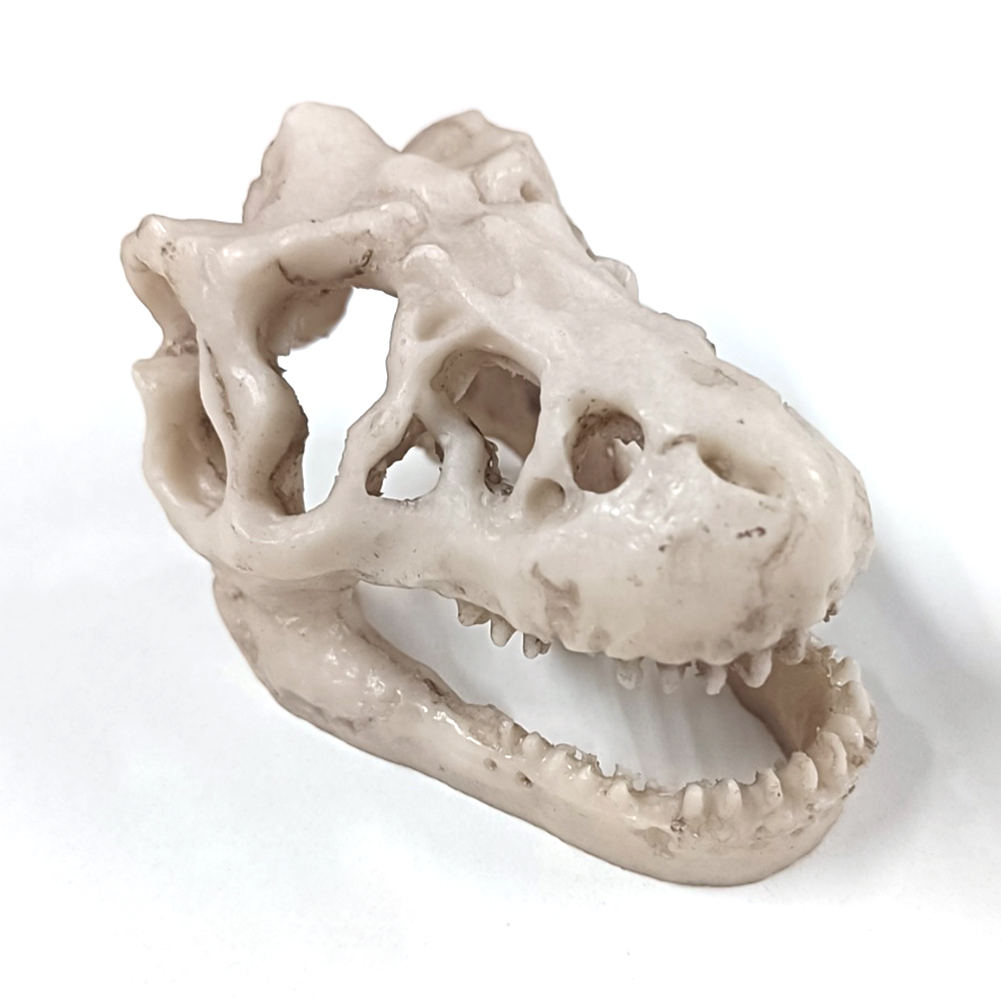 Resin Dinosaur Stone Statue De - Art Craft Dinosaurs review and price