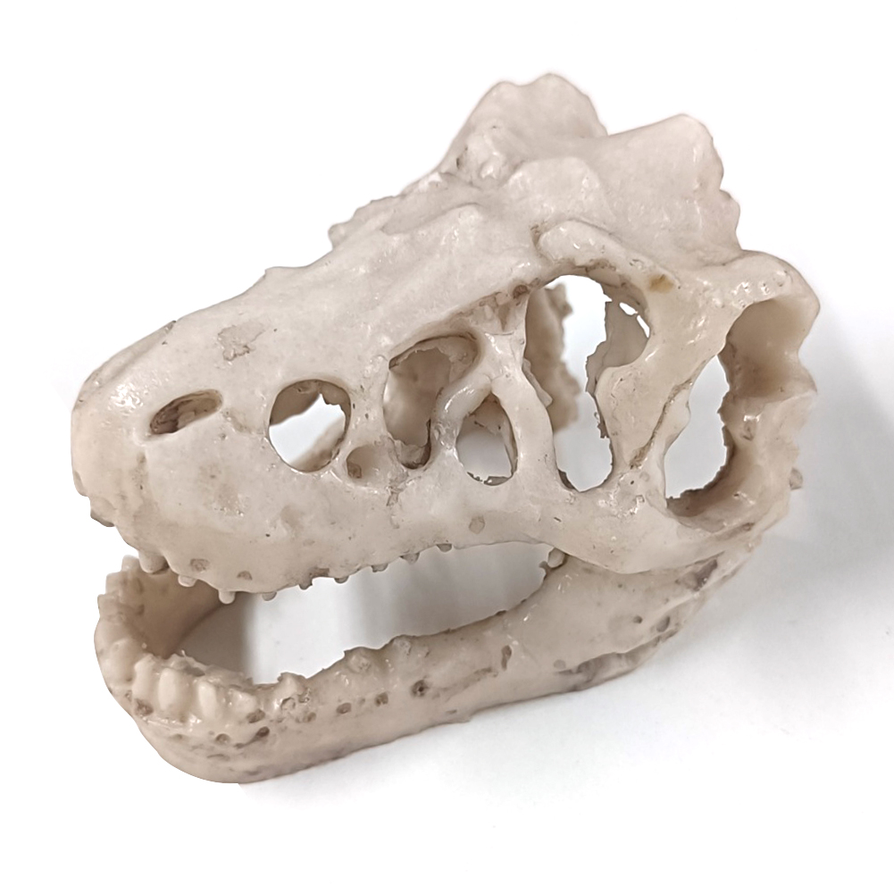 Resin Dinosaur Stone Statue De - Art Craft Dinosaurs review and price
