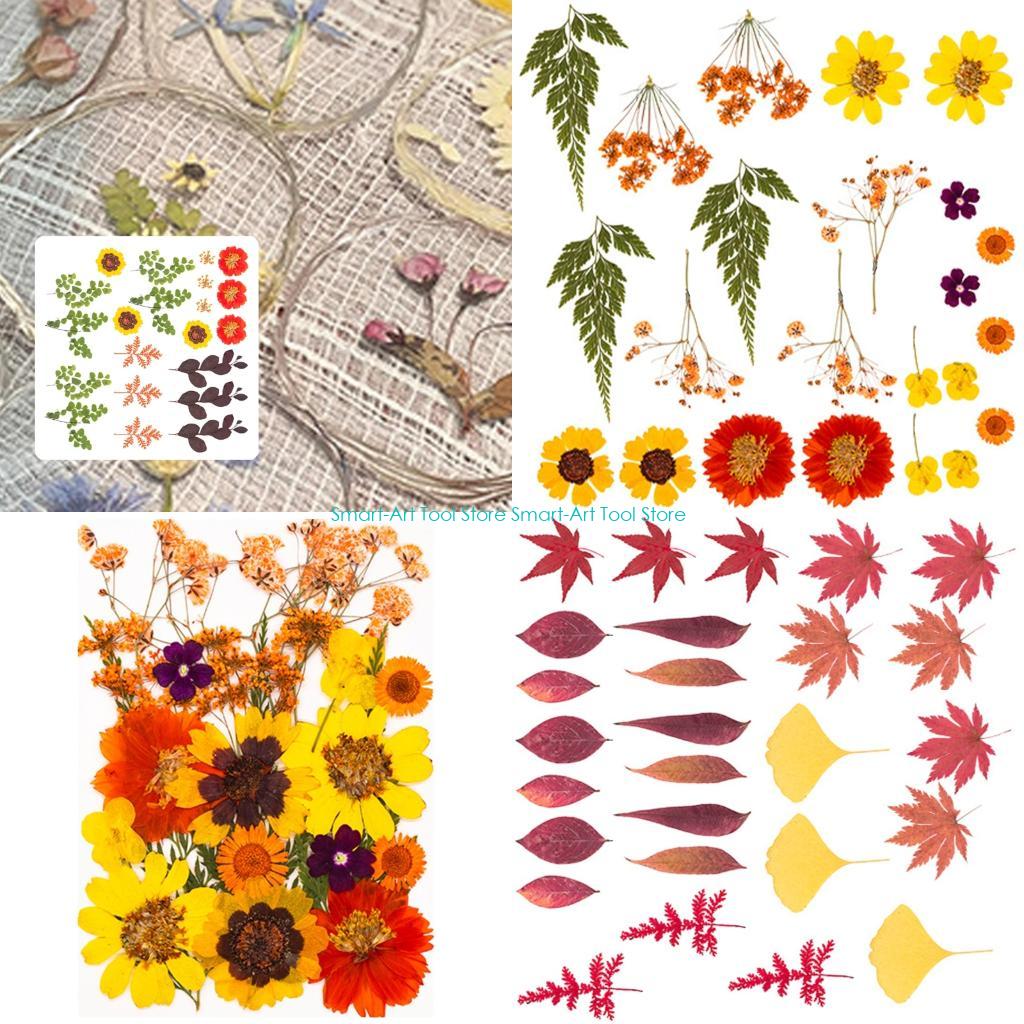 E1PB Natural Dry Flower Leaves - The Art And Craft Of Jewelry review and price