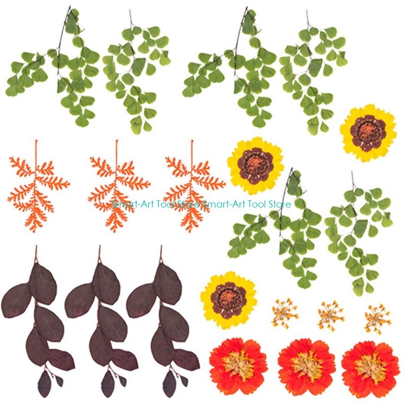 E1PB Natural Dry Flower Leaves - The Art And Craft Of Jewelry review and price