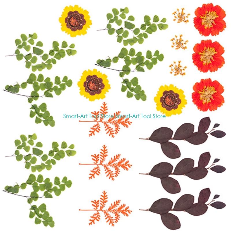 E1PB Natural Dry Flower Leaves - The Art And Craft Of Jewelry review and price