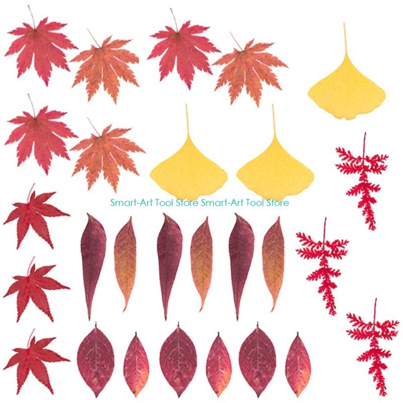 E1PB Natural Dry Flower Leaves - The Art And Craft Of Jewelry review and price